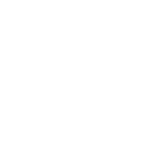 IDL International Logo